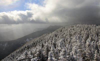 IMG_4753.JPG