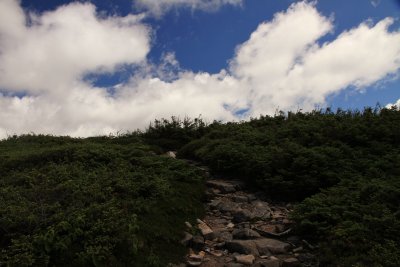 g4/10/912010/3/144510889.bIPRyud5.jpg