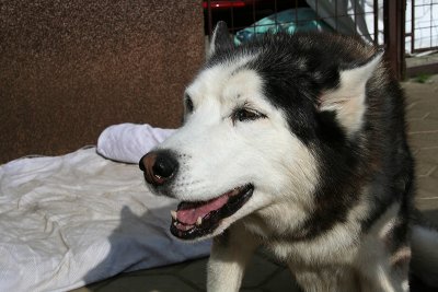 IMG_4635.jpg