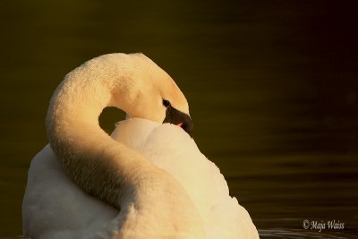IMG_9689.jpg