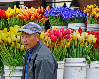 Flower Peddler