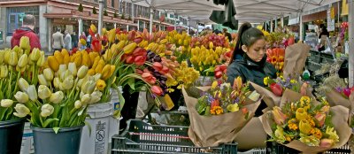 Flower Day At The Market