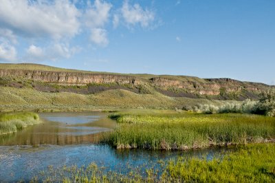 Basalt Cliffs Of Central Washington