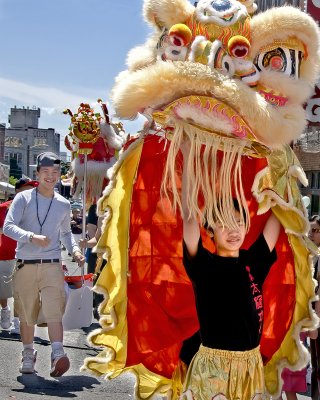 Young Lion Dancer