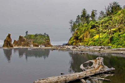 Afternoon Mist At Ruby Beach