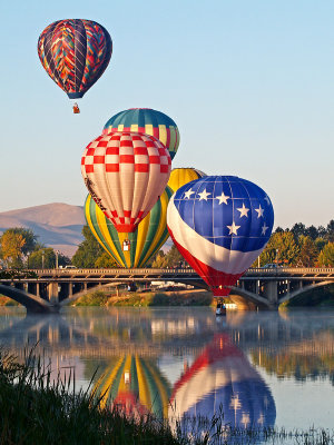 Balloons In Wine Country