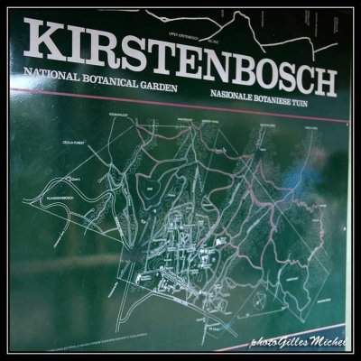 Kirstenbosch, Botanical garden