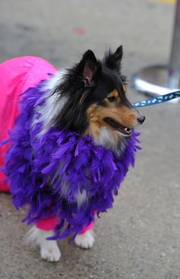 MardiGrowl2011__52---Copy.jpg