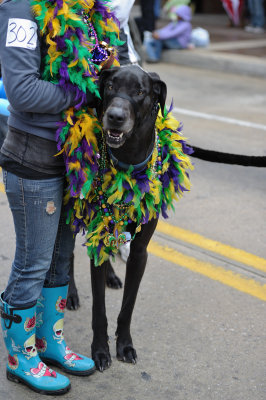 MardiGrowl2011__62---Copy.jpg