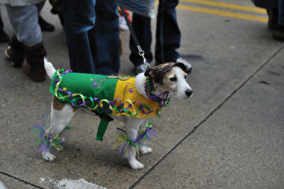 MardiGrowl2011__102.jpg