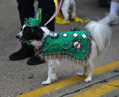 MardiGrowl2011__121.jpg