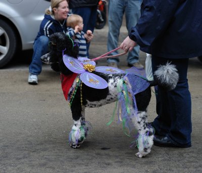 MardiGrowl2011__136---Copy.jpg