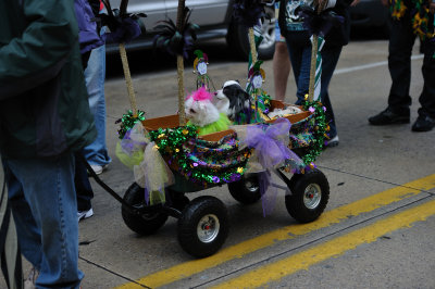 MardiGrowl2011__141---Copy.jpg