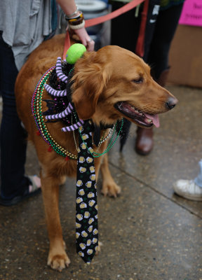 MardiGrowl2011__319.jpg