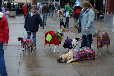 MardiGrowl2011__329.jpg