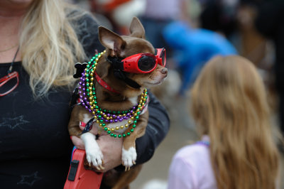 MardiGrowl2011__337.jpg