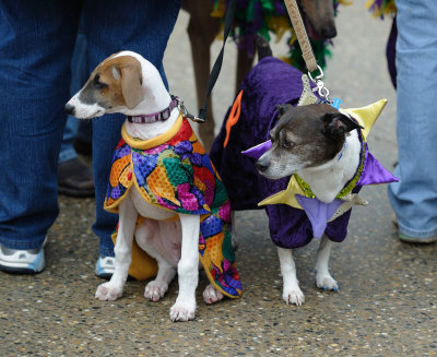 MardiGrowl2011__338.jpg