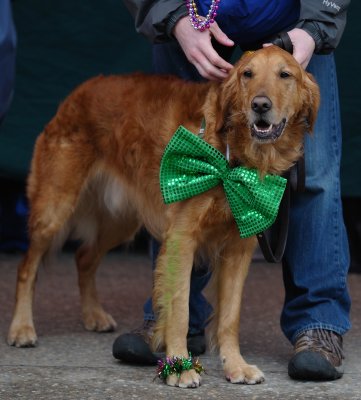 MardiGrowl2011__425.jpg