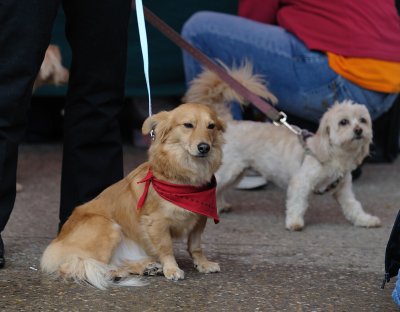 MardiGrowl2011__431.jpg