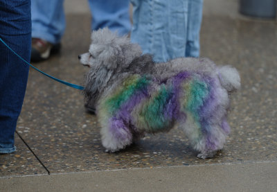 MardiGrowl2011__441.jpg