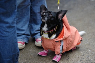 Mardi Growl 2011