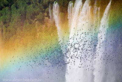Iguacu_falls_brazilian_nature.jpg