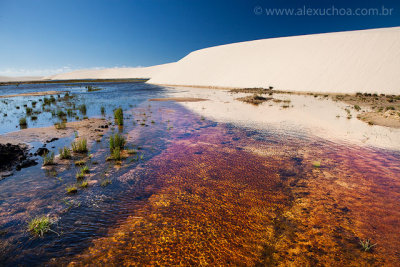 Lencois Maranhenses, Maranhao, 9154.jpg