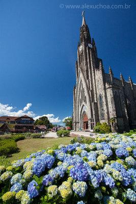 Hortensias e Catedral de Pedra, Canela, RS, 5561