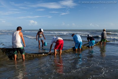 Praia do Prea, Cruz, Ceara, 2873, 20100609.jpg