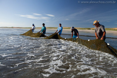 Praia do Prea, Cruz, Ceara, 2898, 20100609.jpg