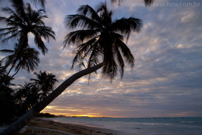 Praia da Baleia, Itapipoca, Ceara, 5229, 20100625.jpg