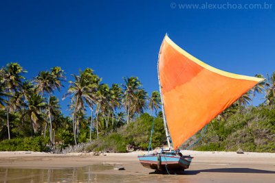 Praia da Baleia, Itapipoca, Ceara, 5438, 20100626.jpg