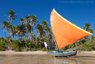 Praia da Baleia, Itapipoca, Ceara, 5461, 20100626.jpg