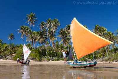 Praia da Baleia, Itapipoca, Ceara, 5466, 20100626.jpg