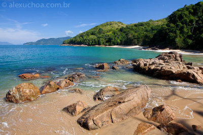 Cedro, Ubatuba, Sao Paulo, 9741.jpg