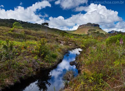 Gerais-do-Vieira-Chapada-Diamantina-Bahia, 0937cropv2.jpg