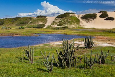 Sabiaguaba, Fortaleza, Ceara, 0060.jpg