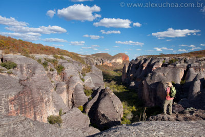 Baixao-das-Andorinhas-Serra-da-Capivara-Piaui-120505-9751.jpg