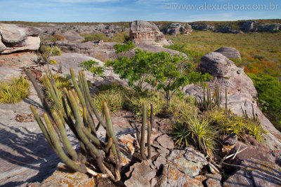 Serra-da-Capivara-Piaui-120501-1119.jpg