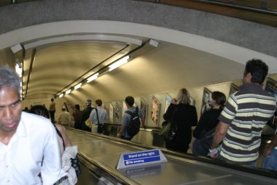 IMG_6417.jpg