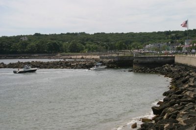 IMG_4333.jpg