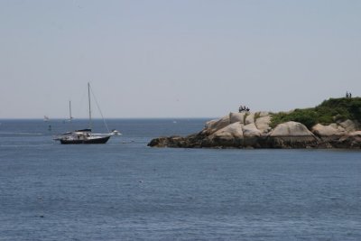 IMG_4338.jpg