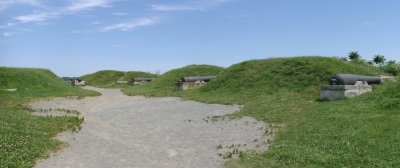 IMG_4358.jpg