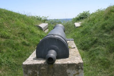 IMG_4363.jpg
