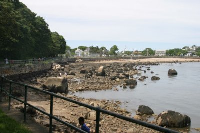 IMG_4410.jpg