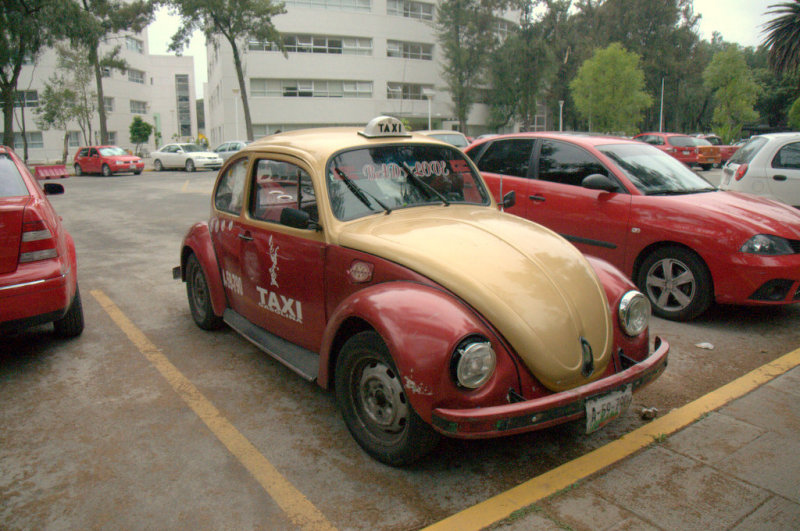 Beetle