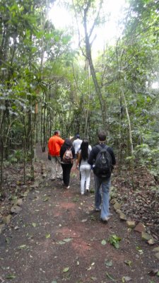 Our guide leads us through the protected secondary rainforest at the boundary of Lake Itaipu.