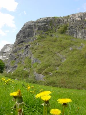 Cliff at the edge of Downs parkland near Bristol