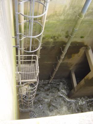 Deep insights into the Barrage at Cardiff.jpg