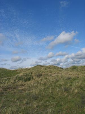 Dune sanctuary  between scheveningen and katwijk